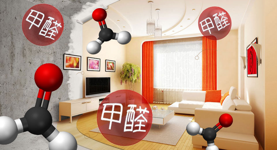 t011bd9cef021a5be1c.jpg
